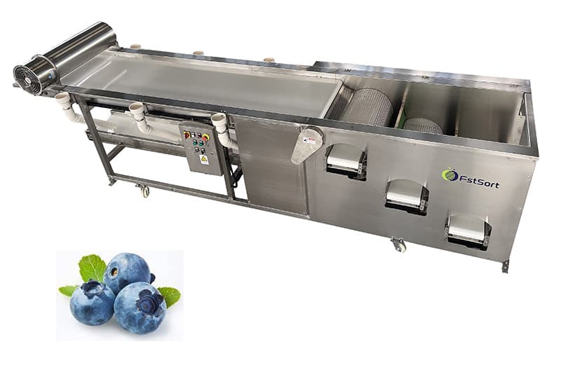 images/1653553089197blueberry sorter.jpg